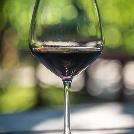 מלון Borklad בראט